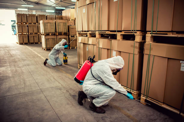 Best Flea Control Services  in Magnolia, MS