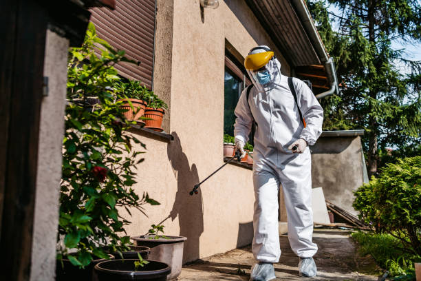 Best Pest Prevention Services  in Magnolia, MS